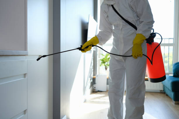 Best Commercial Mold Removal  in Westover, WV