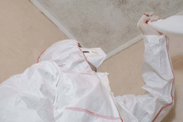 Best Residential Mold Removal  in Westover, WV